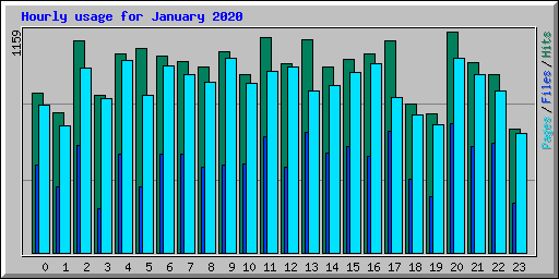 Hourly usage for January 2020