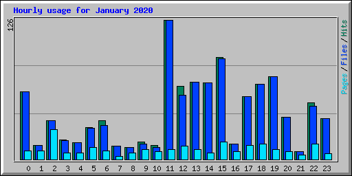 Hourly usage for January 2020