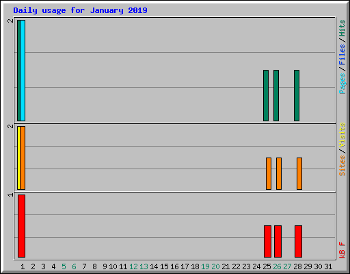 Daily usage for January 2019
